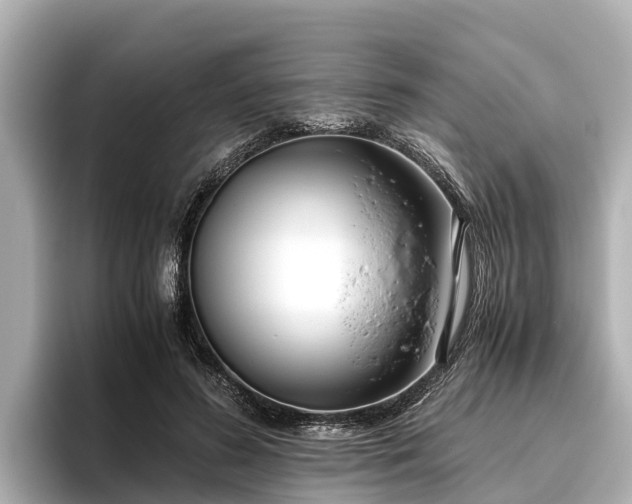 X0000096420596200801311414