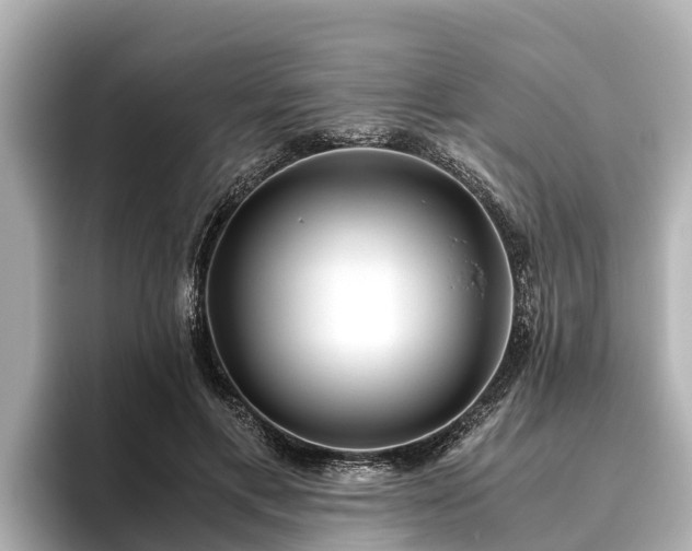 X0000096420597200801311414