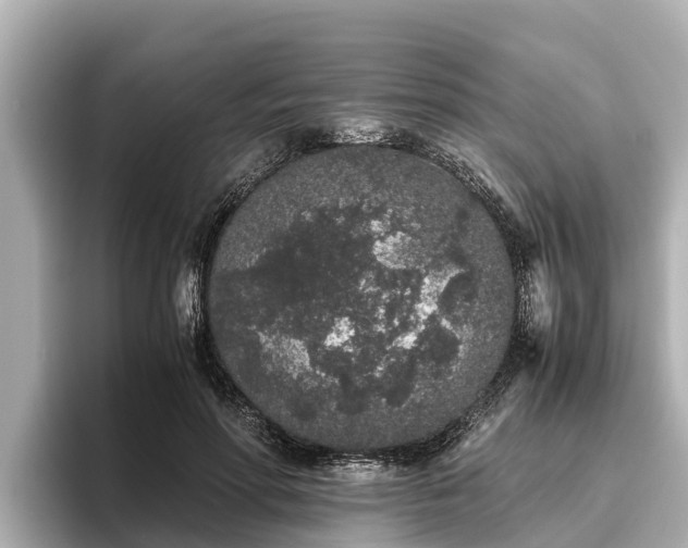 X0000096420598200801311414