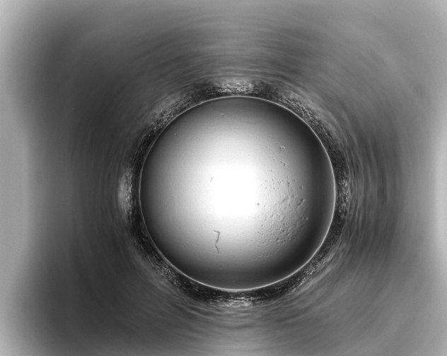 X0000096420600200801311414