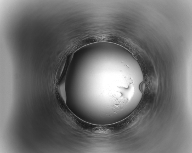 X0000096420601200801311414