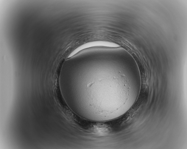 X0000096420603200801311414