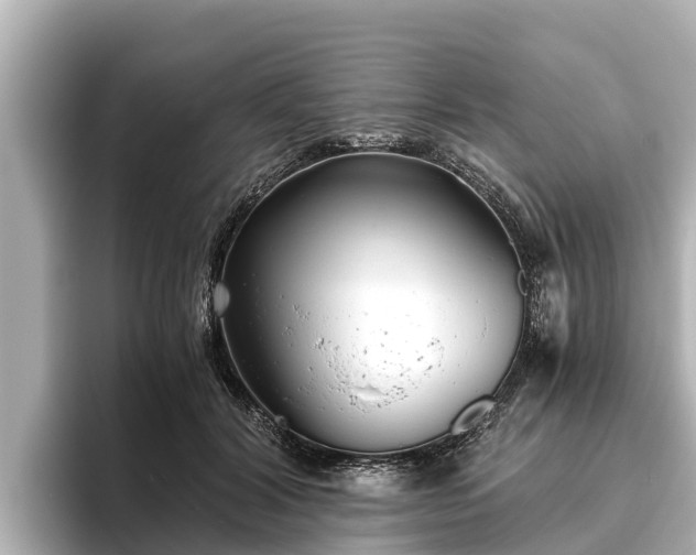 X0000096420604200801311414