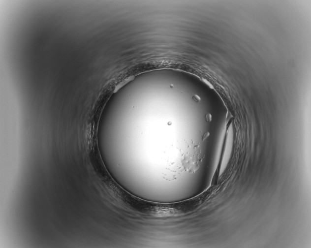 X0000096420605200801311414