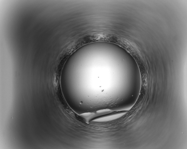 X0000096420607200801311414