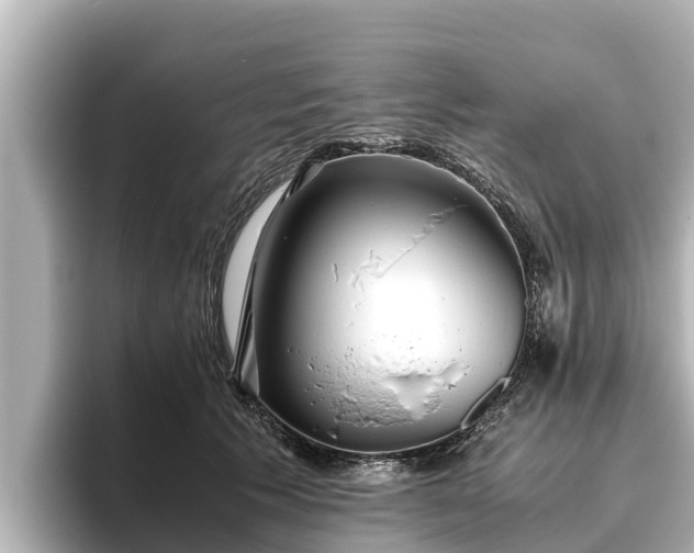 X0000096420609200801311414