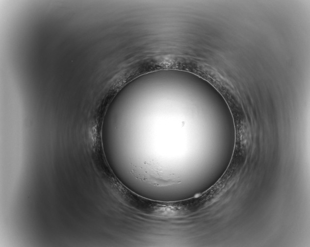 X0000096420611200801311414