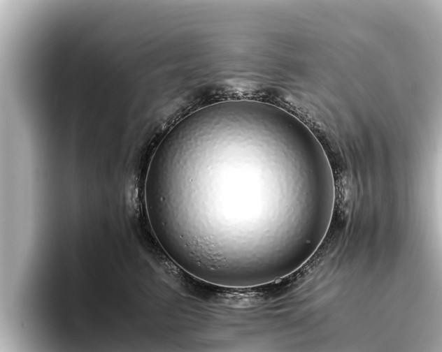 X0000096420615200801311413