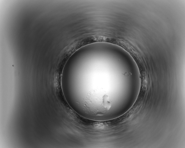 X0000096420616200801311413