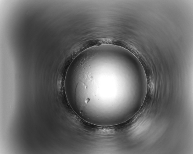 X0000096420619200801311413