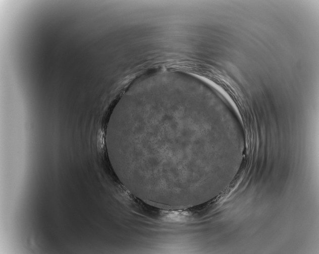 X0000096420621200801311413