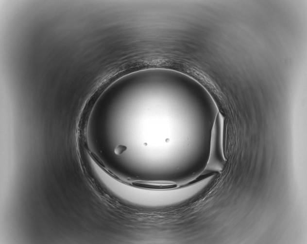 X0000096420626200801311413