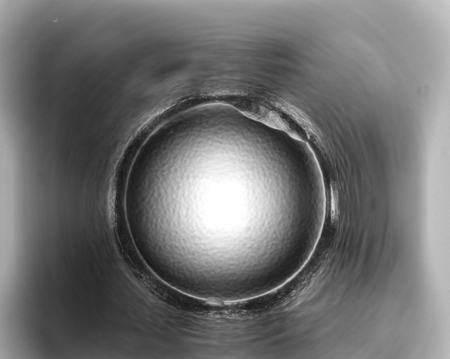 X0000096420627200801311413