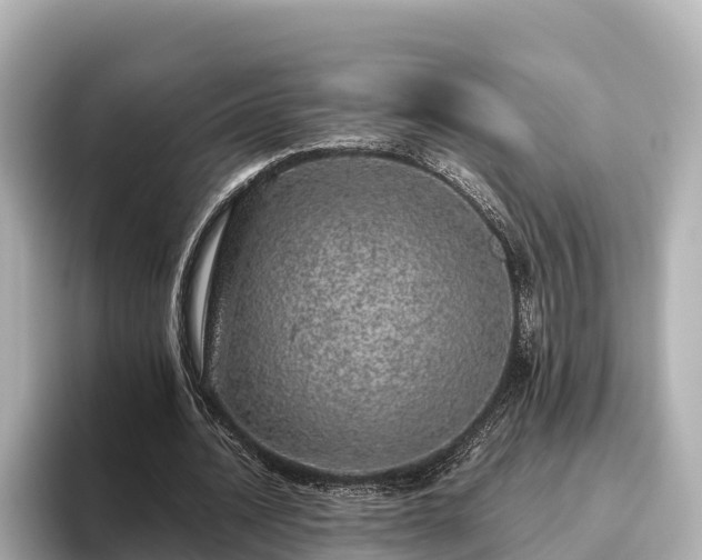 X0000096420628200801311413