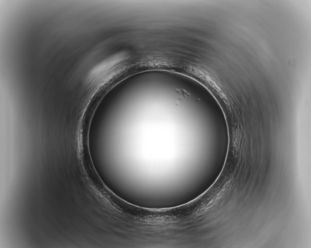 X0000096420629200801311413