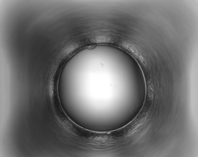 X0000096420631200801311413