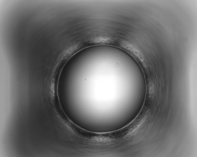 X0000096420633200801311413
