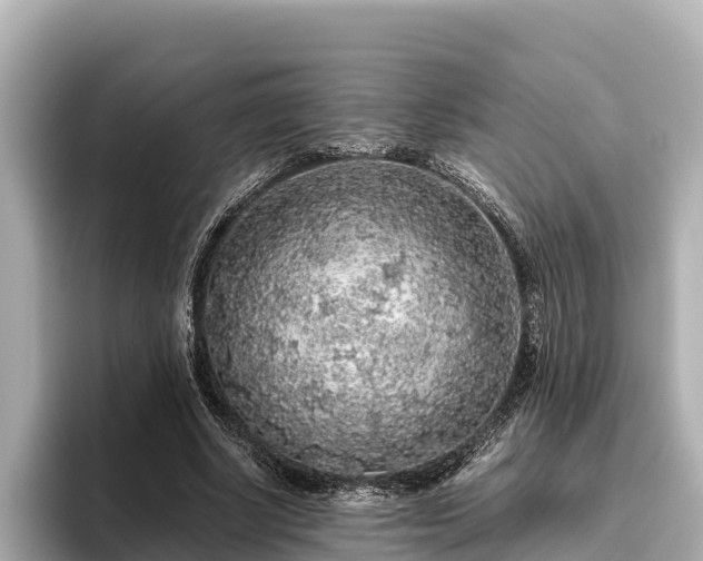 X0000096420634200801311413
