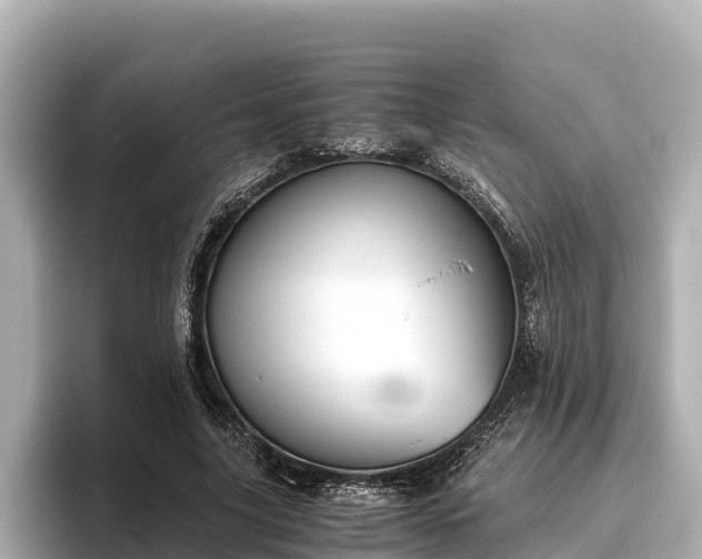 X0000096420635200801311413