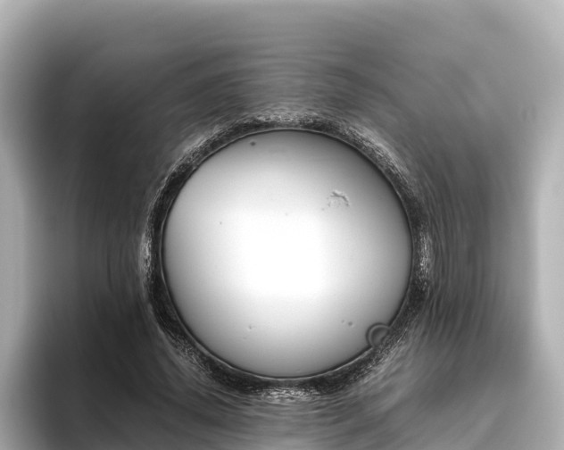 X0000096420636200801311413