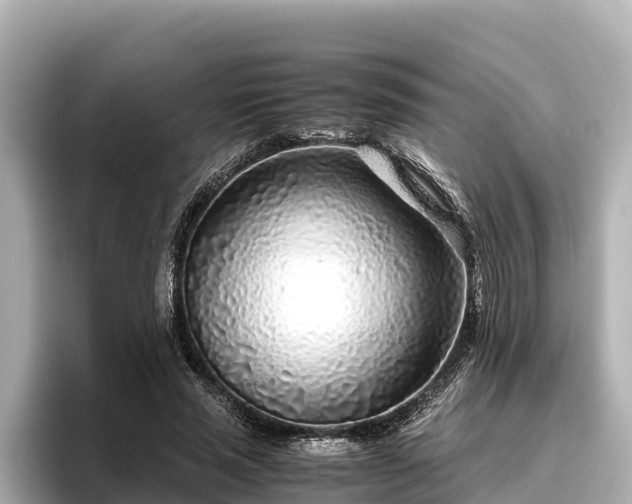 X0000096420637200801311413