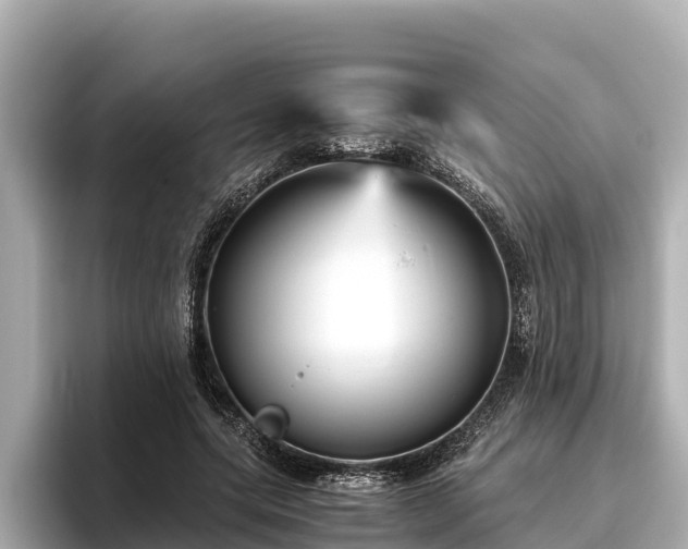 X0000096420639200801311413