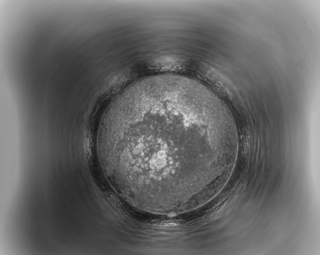 X0000096420643200801311413
