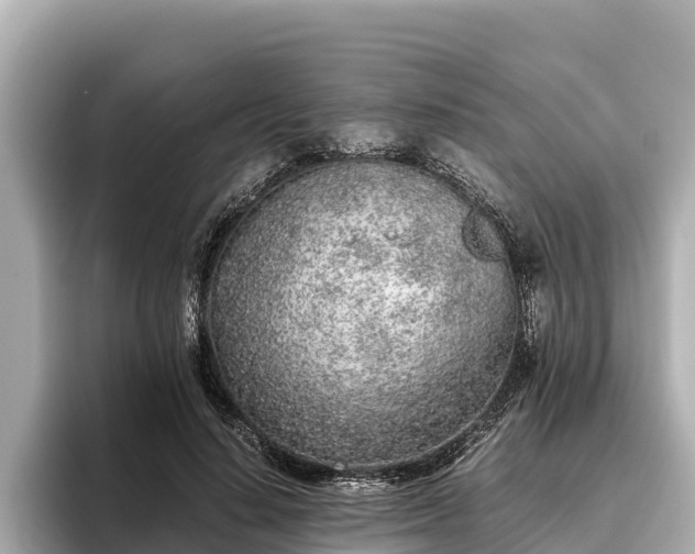 X0000096420644200801311413