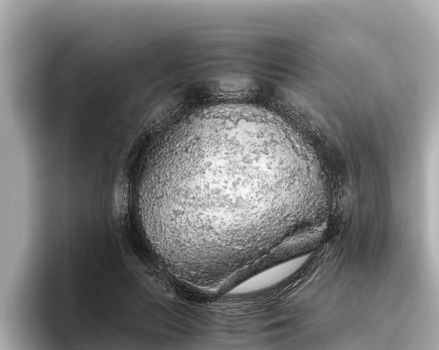 X0000096420647200801311413