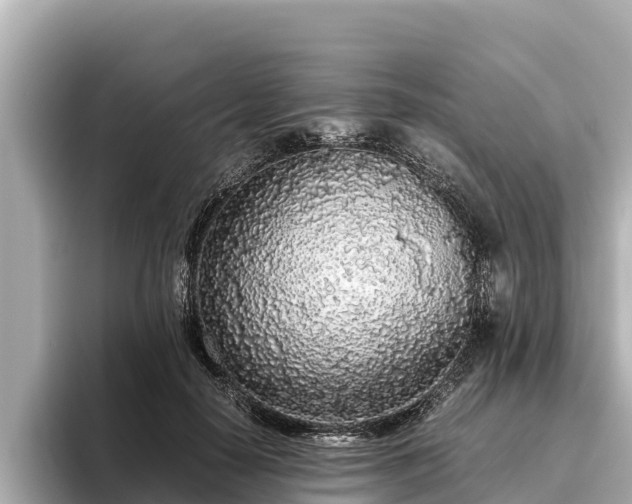 X0000096420650200801311413