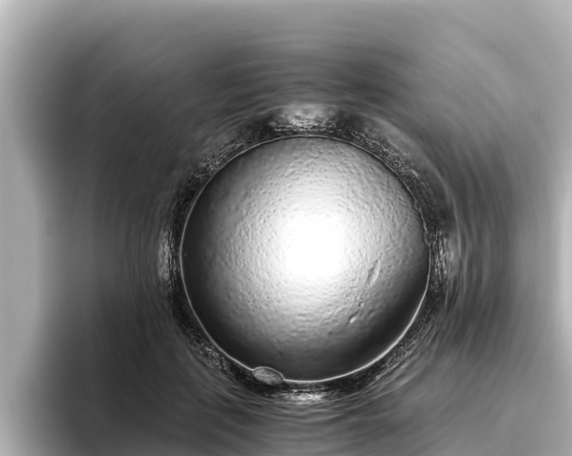 X0000096420651200801311413