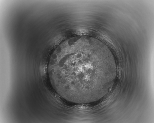 X0000096420652200801311413