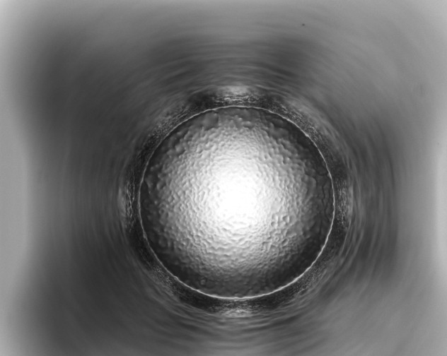 X0000096420653200801311413