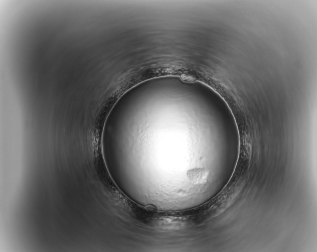 X0000096420657200801311413