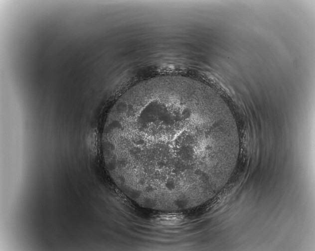 X0000096420659200801311413