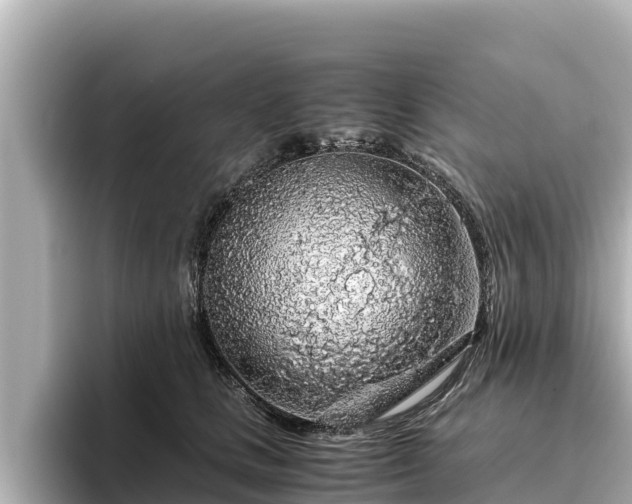 X0000096420661200801311413