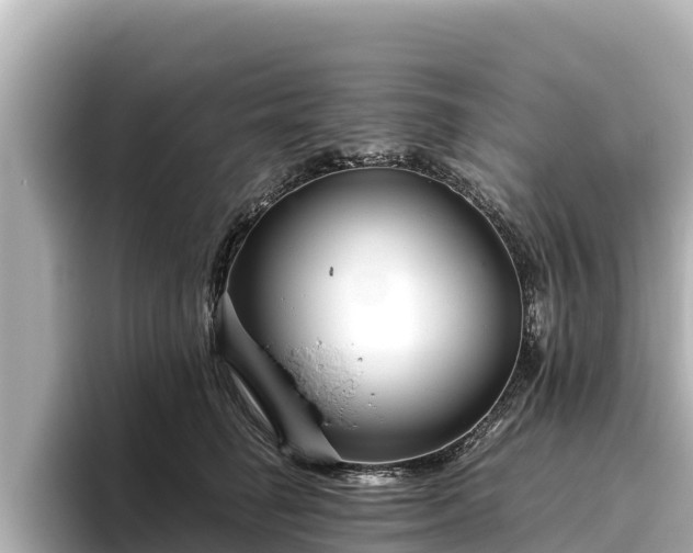 X0000096420662200801311413