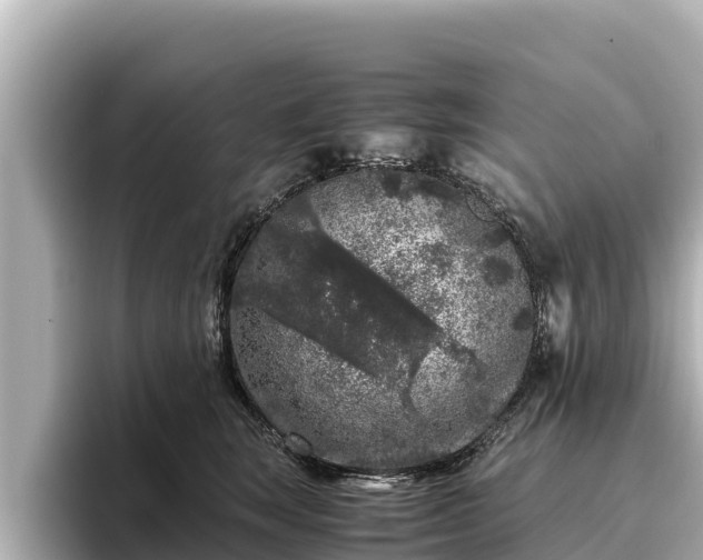 X0000096420663200801311413