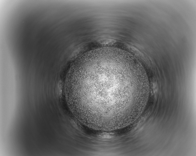 X0000096420664200801311413