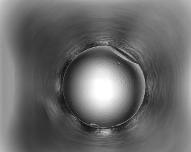X0000096420665200801311413