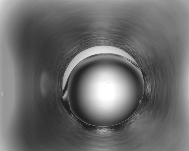 X0000096420666200801311413