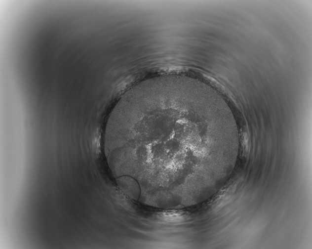 X0000096420668200801311413