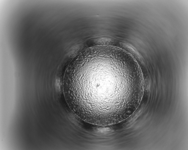 X0000096420669200801311413