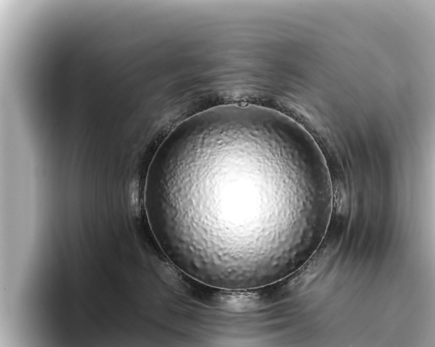 X0000096420670200801311413