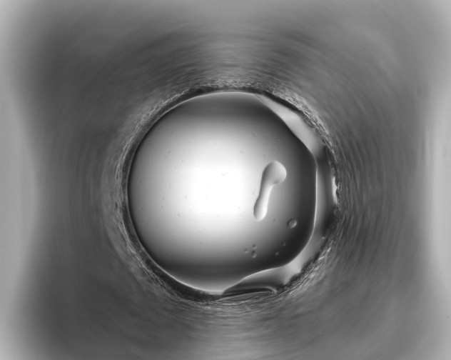 X0000096420673200801311413