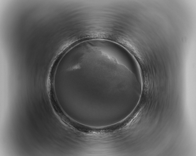 X0000096420674200801311413