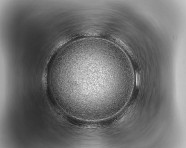 X0000096420675200801311413