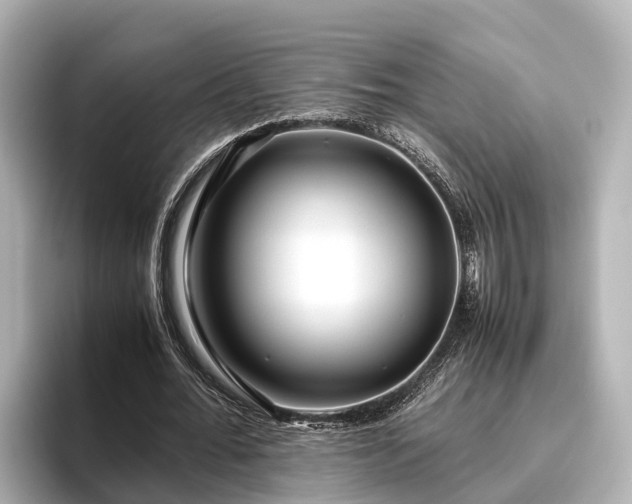 X0000096420676200801311413
