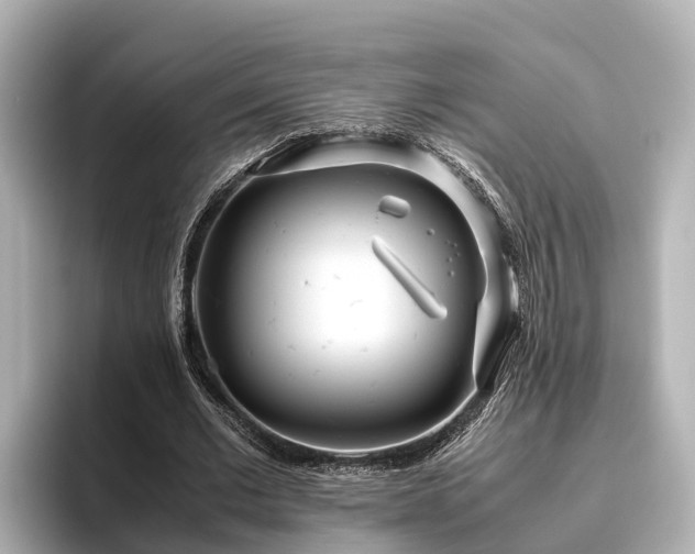 X0000096420677200801311413