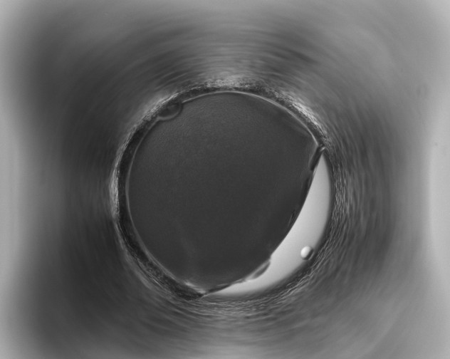 X0000096420678200801311413